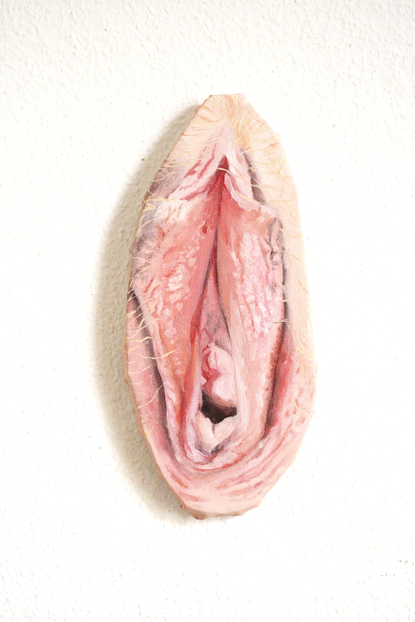 Vulva 3, carine Bovey