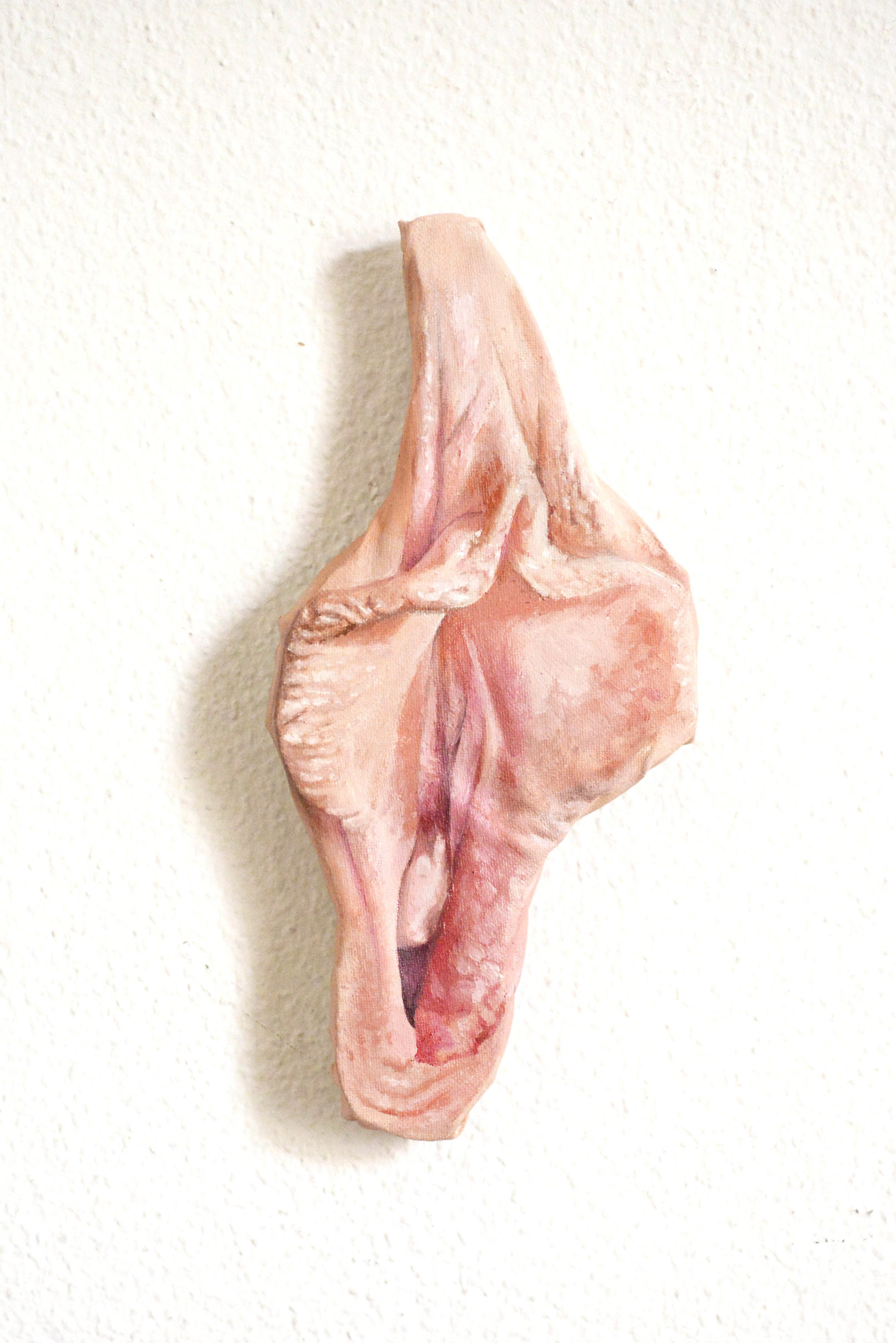 Vulva 7