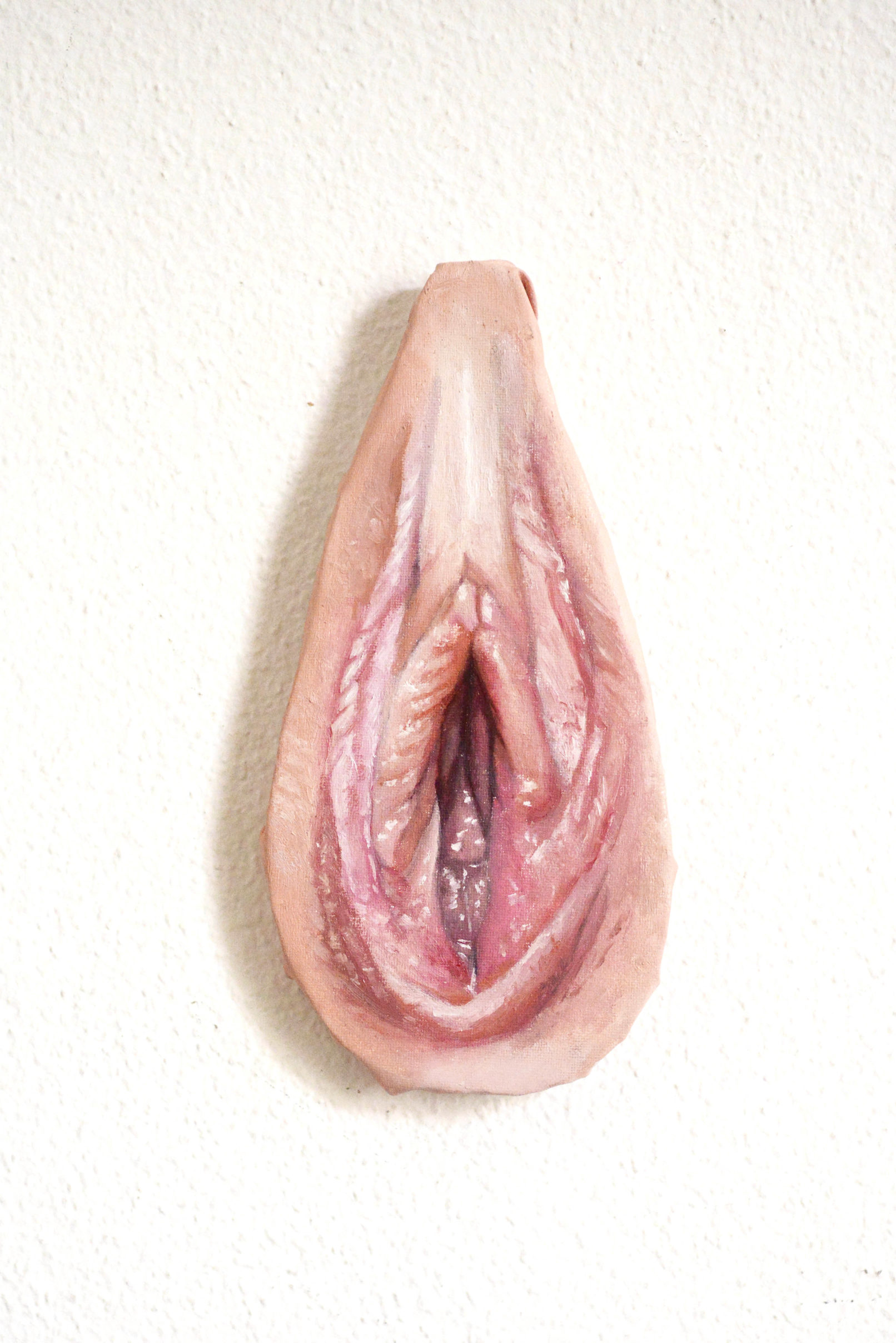 Vulva 8