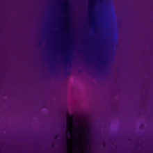 Neon Fetisch, Blå kanin, Carine Bovey, Artiste suisse, artiste féministe, artiste contemporain, contemporary artist, female artist, feminist artist, nature morte photographie contemporaine