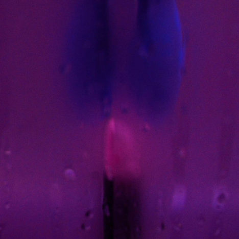 Neon Fetisch, Blå kanin, Carine Bovey, Artiste suisse, artiste féministe, artiste contemporain, contemporary artist, female artist, feminist artist, nature morte photographie contemporaine