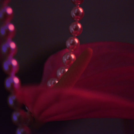 Neon Fetisch, jeu de perles, Carine Bovey, Artiste suisse, artiste féministe, artiste contemporain, contemporary artist, female artist, feminist artist, nature morte photographie contemporaine