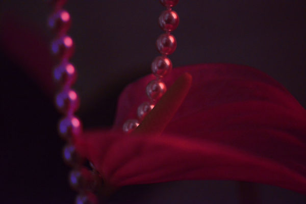 Neon Fetisch, jeu de perles, Carine Bovey, Artiste suisse, artiste féministe, artiste contemporain, contemporary artist, female artist, feminist artist, nature morte photographie contemporaine