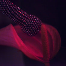 Neon Fetisch, Stimulation florale, Carine Bovey, Artiste suisse, artiste féministe, artiste contemporain, contemporary artist, female artist, feminist artist, nature morte photographie contemporaine