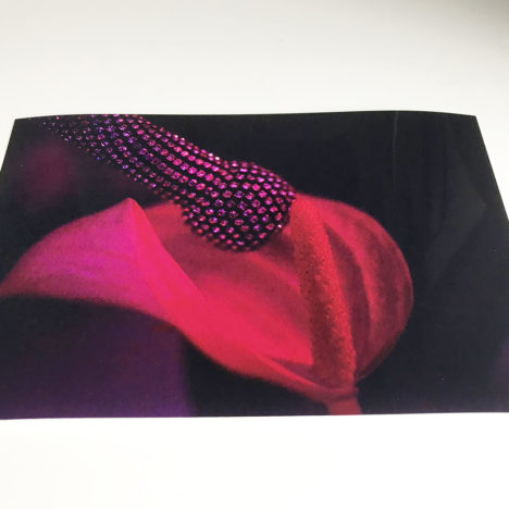 Artiste suisse, artiste féministe, artiste contemporain, contemporary artist, female artist, feminist artist