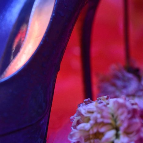 Neon Fetisch, Gucci pumps, The Purple Dahlia, Carine Bovey, nature morte, photographie contemporaine, yellowkorner