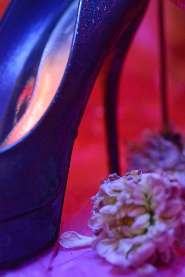 Neon Fetisch, Gucci pumps, The Purple Dahlia, Carine Bovey, nature morte, photographie contemporaine, yellowkorner