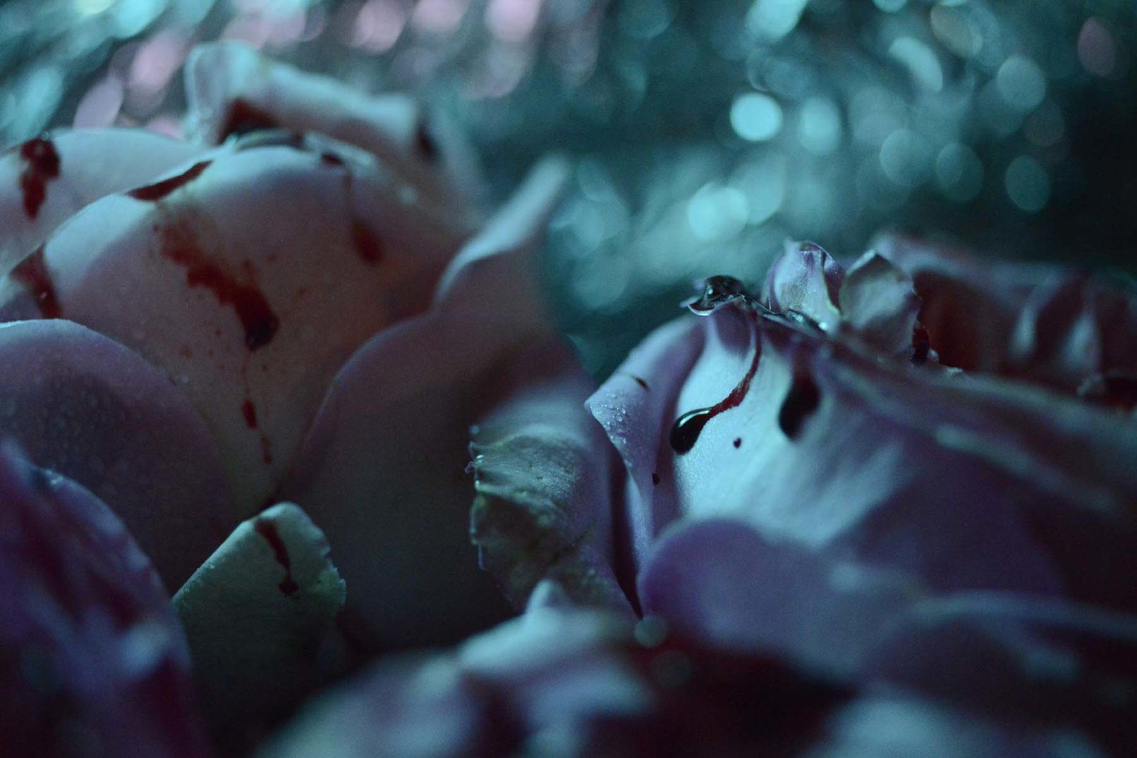 Mens serie, Carine Bovey, period, flower, feminist art