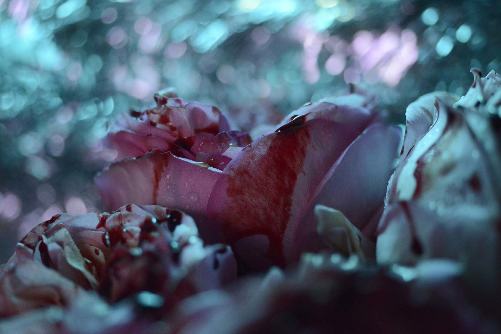 Mens serie, Carine Bovey, period, flower, feminist art