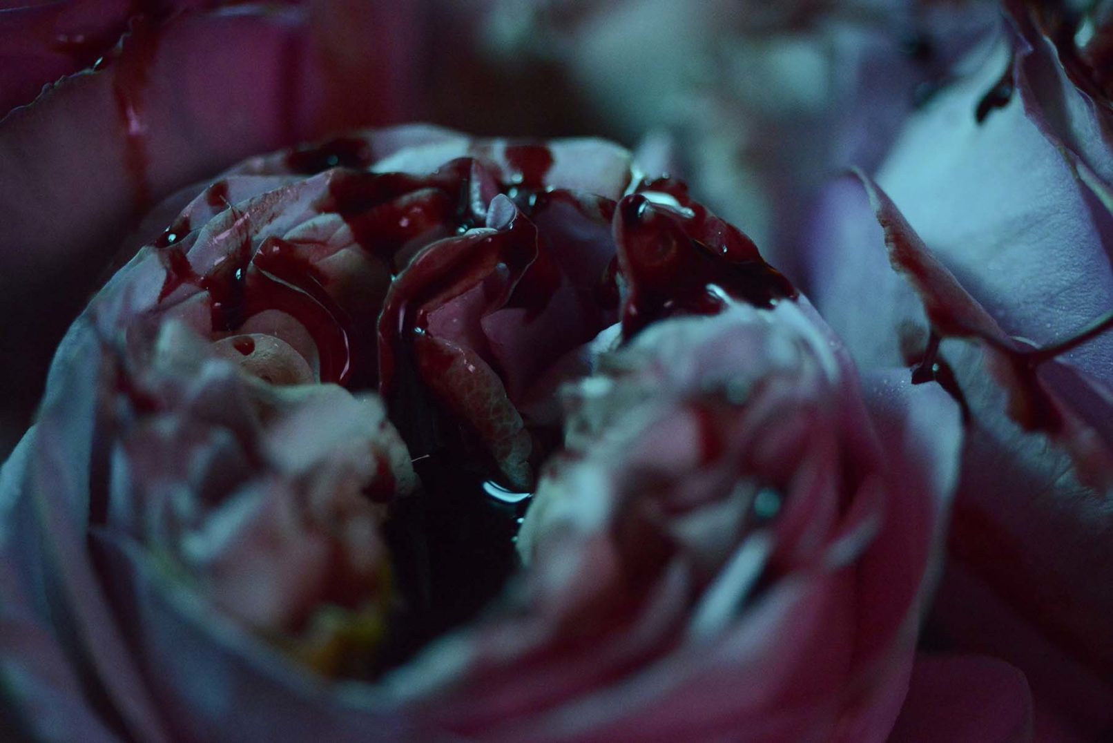 Mens serie, Carine Bovey, period, flower, feminist art