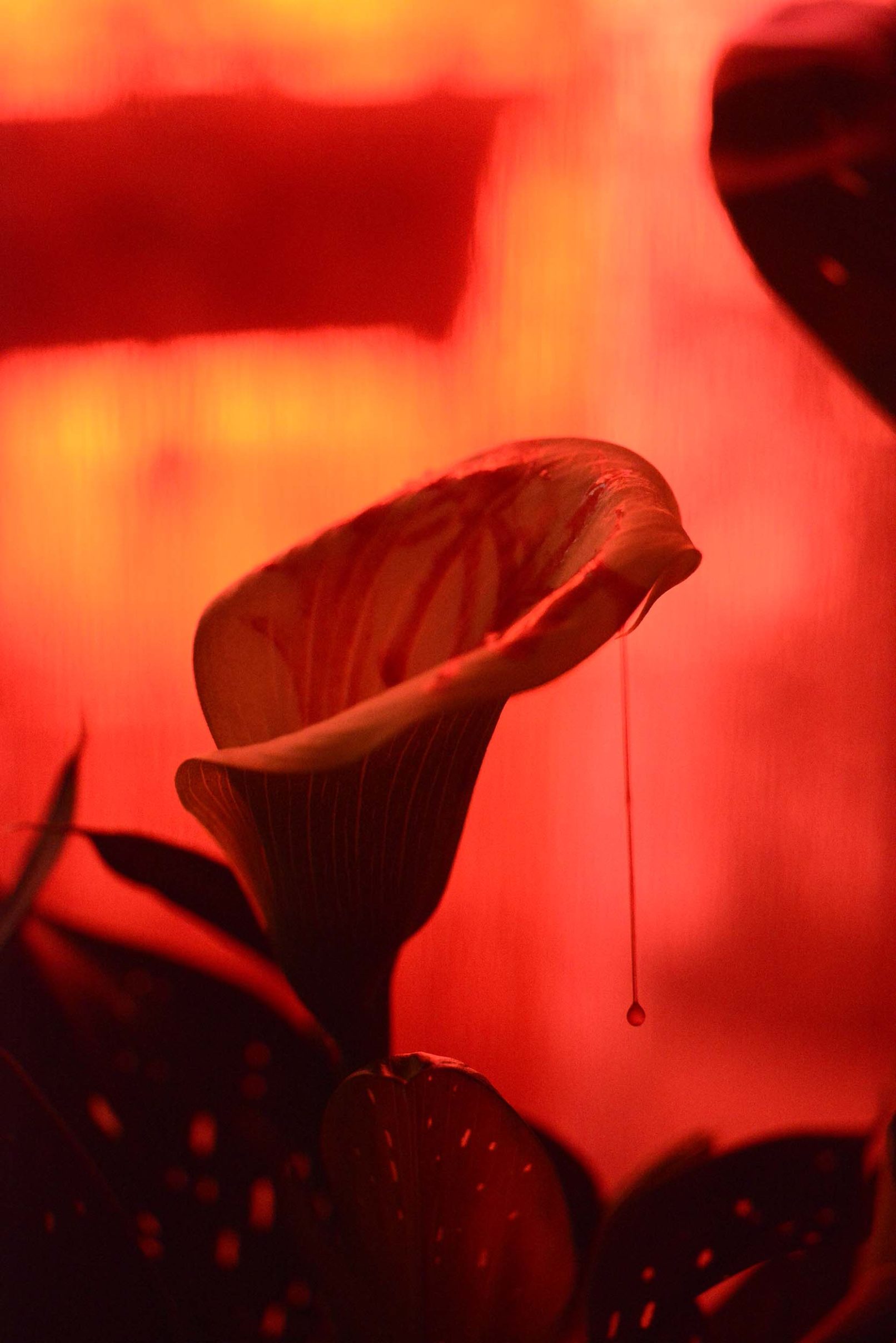 Mens serie, Carine Bovey, period, flower, feminist art, yellowkorner