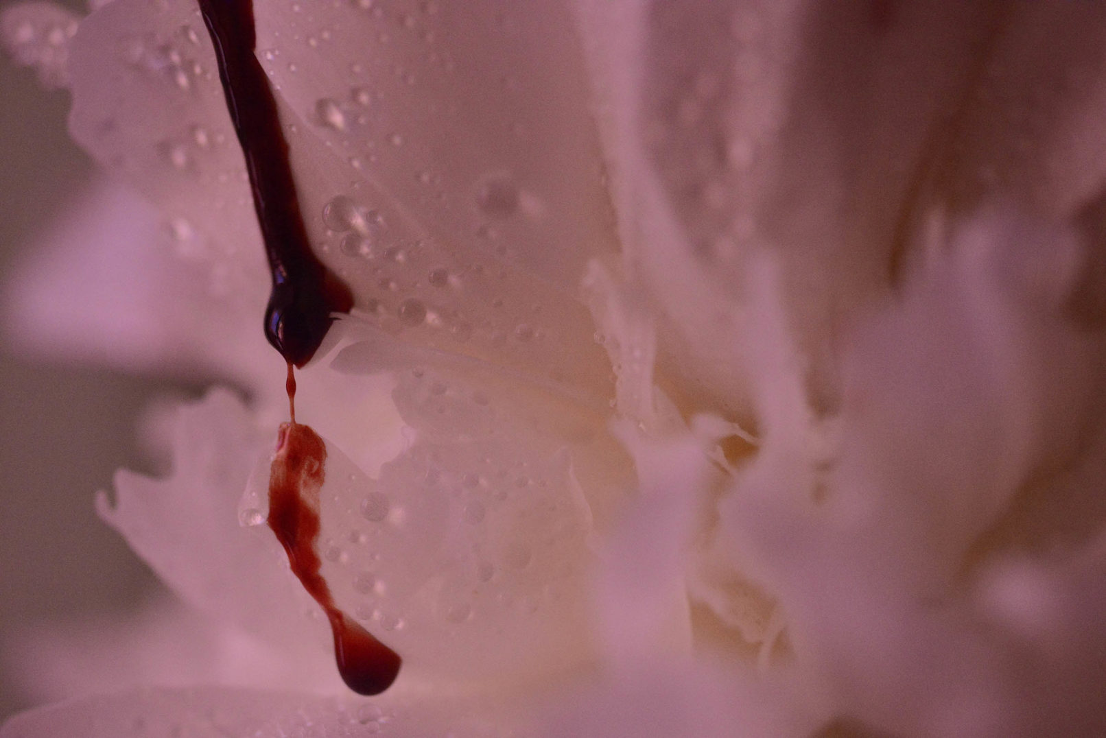 Mens serie, Carine Bovey, period, flower, feminist art