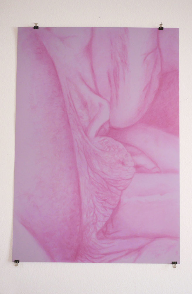 Pink Champagne, Sépale d'Iris, Artiste suisse, artiste féministe, artiste contemporain, contemporary artist, female artist, feminist artist