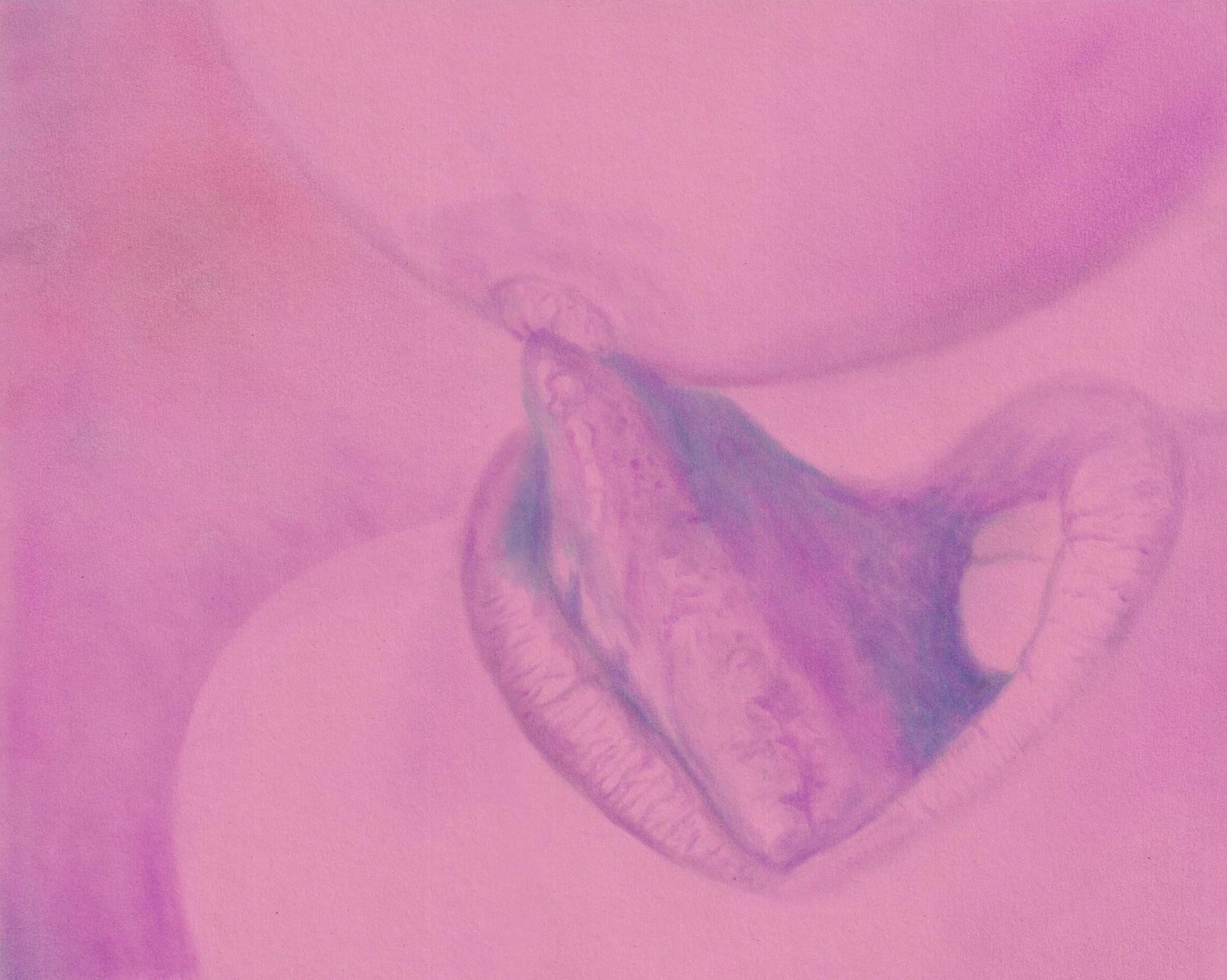 Pink Champagne, Honungsmelon, Artiste suisse, artiste féministe, artiste contemporain, contemporary artist, female artist, feminist artist