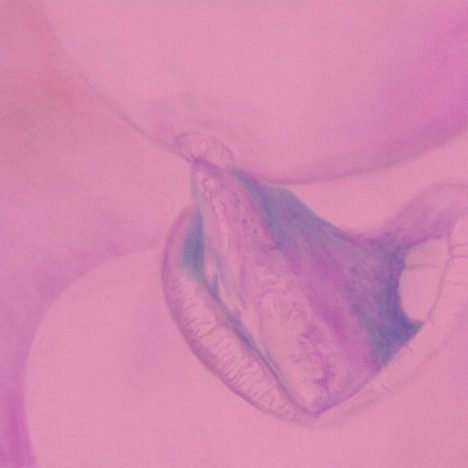 Pink Champagne, Honungsmelon, Artiste suisse, artiste féministe, artiste contemporain, contemporary artist, female artist, feminist artist