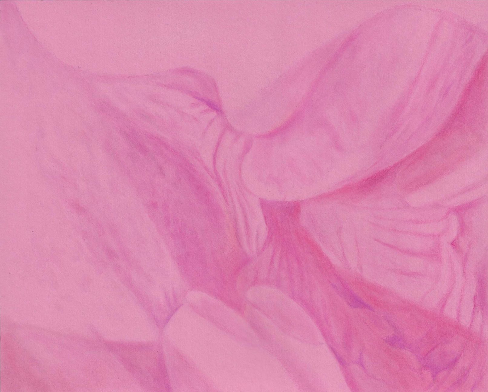 Pink Champagne, Jasmine joue avec heather, artiste féministe, artiste contemporain, contemporary artist, female artist, feminist artist