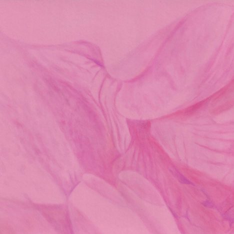 Pink Champagne, Jasmine joue avec heather, artiste féministe, artiste contemporain, contemporary artist, female artist, feminist artist