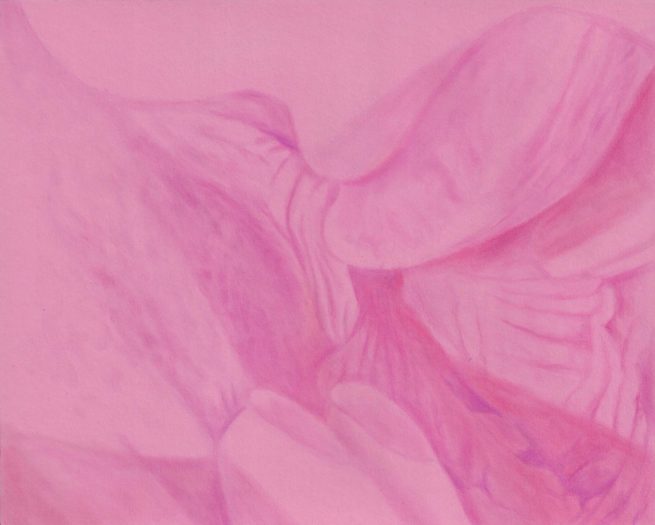 Pink Champagne, Jasmine joue avec heather, artiste féministe, artiste contemporain, contemporary artist, female artist, feminist artist