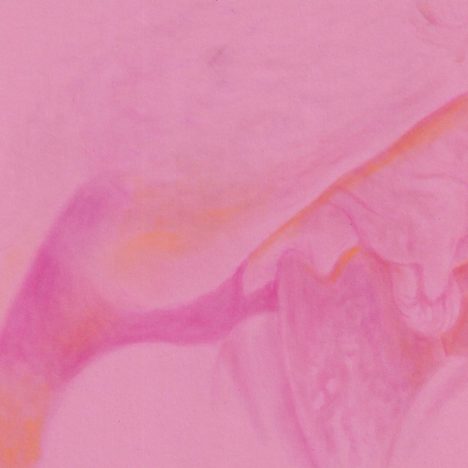 Pink Champagne, Sépale d’Iris blonde, Artiste suisse, artiste féministe, artiste contemporain, contemporary artist, female artist, feminist artist