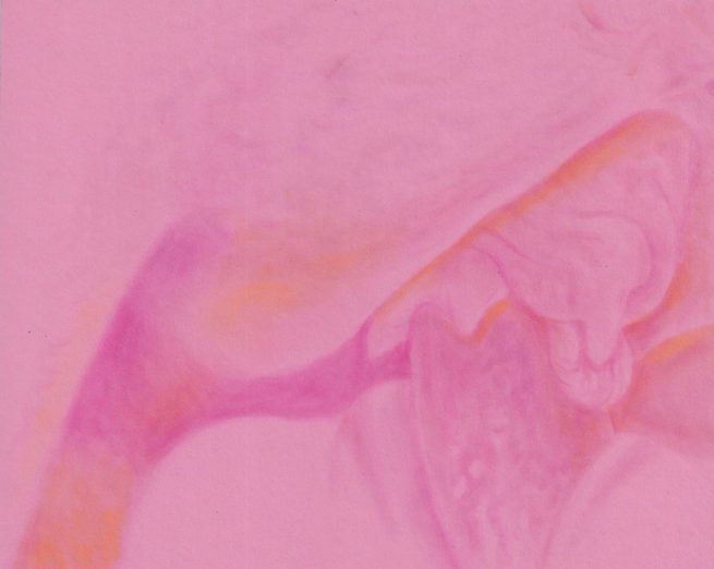 Pink Champagne, Sépale d’Iris blonde, Artiste suisse, artiste féministe, artiste contemporain, contemporary artist, female artist, feminist artist