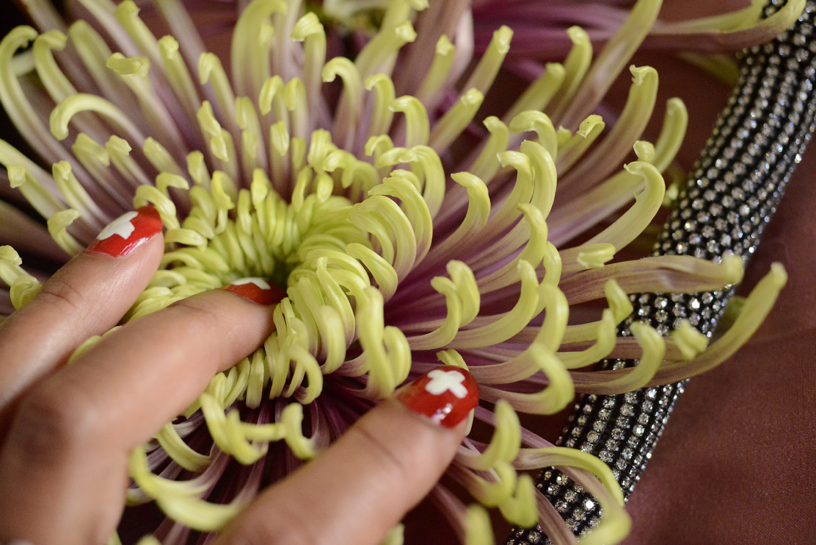 yellowkorner, der 1 august, photography