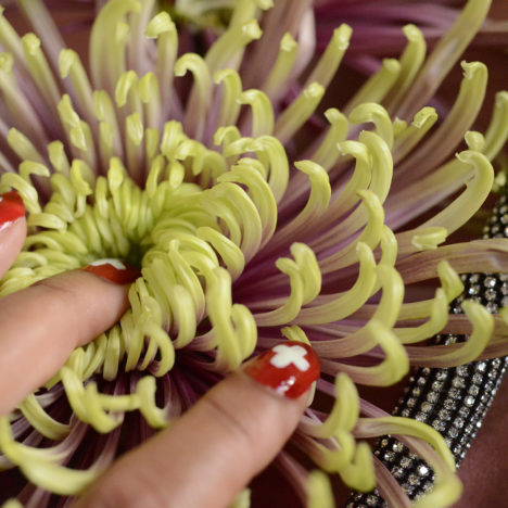 yellowkorner, der 1 august, photography