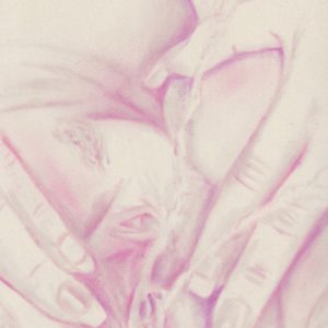 A l’eau de rose (Squirt serie)