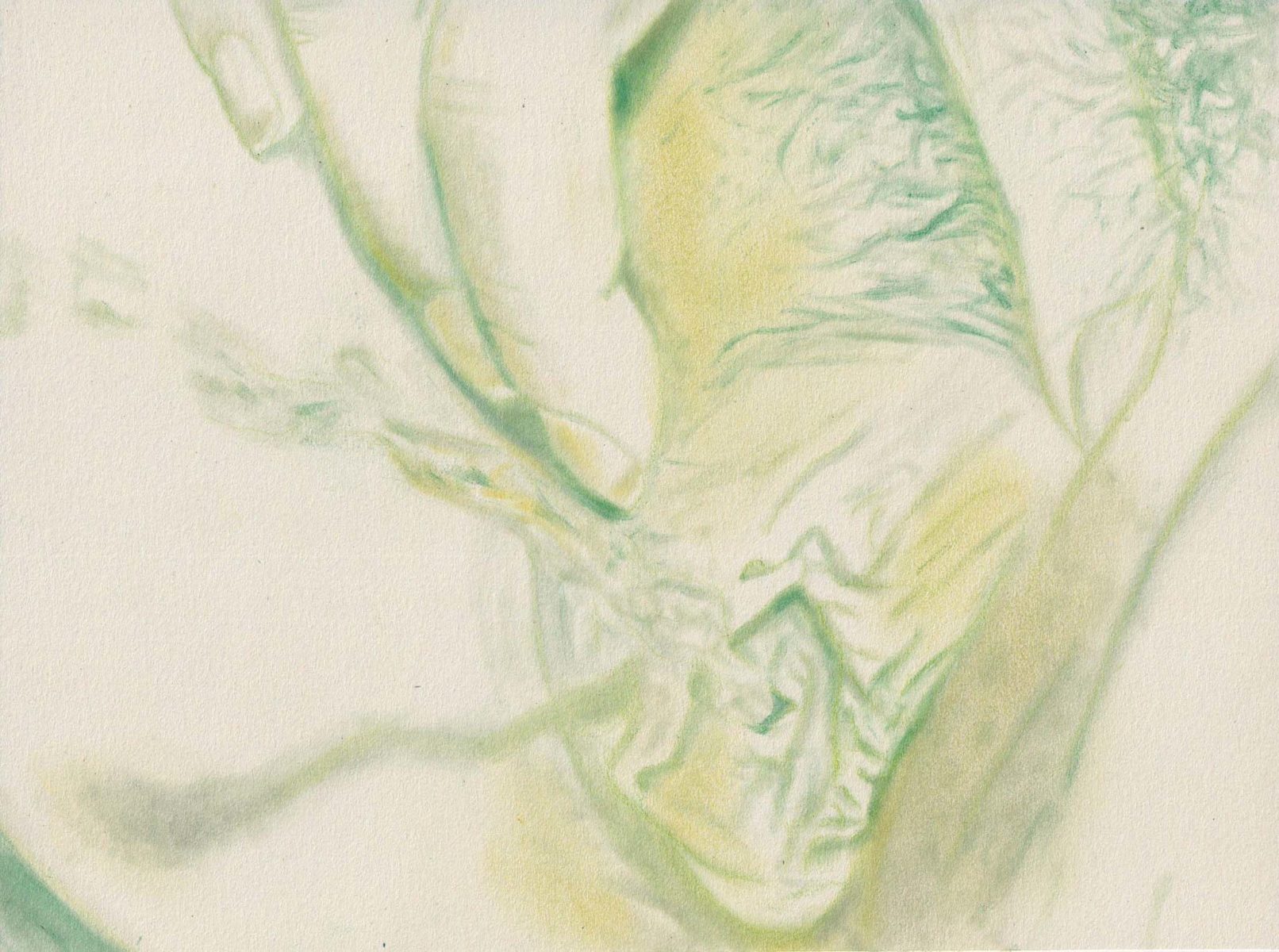 Fizzy Caipirinha (Squirt serie)