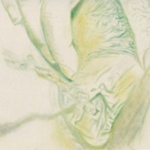 Fizzy Caipirinha (Squirt serie)